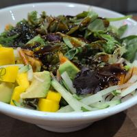 Vegan bowl at Hokkaido Ramen House in Mount Dora