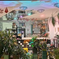  at Coffee House – Cat's Eye (Katzenauge) in Kassel