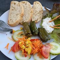 Filled wine leaves  at Cafe Malik in Muenster