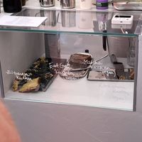 Cakes (clearly marked vegan)  at Kavé Studio  in Mainz