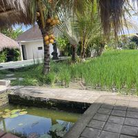   at RaFamily in Gianyar