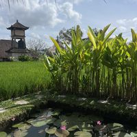   at RaFamily in Gianyar