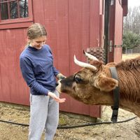 Volunteer Saturdays!  at Sunny Meadow Sanctuary in Barre