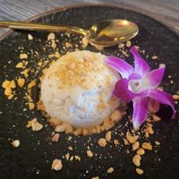 Coconut Ice Cream at Sip Saam Thai of San Antonio in San Antonio