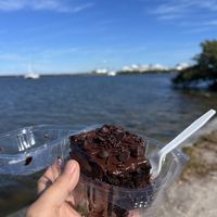 Chocolate cake  at Coastal Vegan Grill  in Cape Canaveral