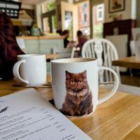 Chai Latte at Koffie ende Koeck in Amsterdam