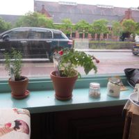 View out to street from cafe at Koffie ende Koeck in Amsterdam
