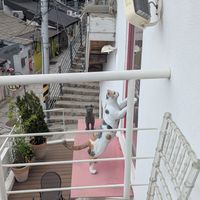  at Cafe Reading Cat in Seoul