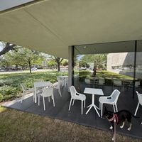   at Kin Cafe in Houston