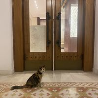 Friendly neighbour  at Emshoot Azerbaijani Restaurant in Al Wakrah