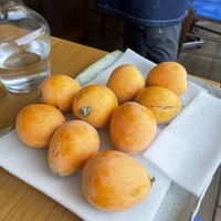   at Vegan Ramen YADOKARI in Fukuoka