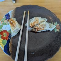 Gyozas (already half eaten) at Vegan Ramen YADOKARI in Fukuoka