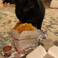 Even our cats loved the plantains 😂  at Rhythm 'n Wraps in Boston