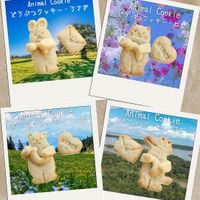   at Mai+Chie Kitchen - まいちえキッチン in Hiroshima