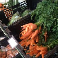 farm fresh carrots at Bio Markt in Windhoek