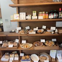   at 24sekki in Kamakura