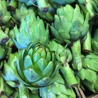 Artichokes at Pezzini Farms at Pezzini Farms in Castroville