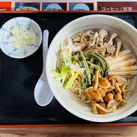 Soba noodles with mountain vegetables and soy sauce.   at Ikemoto Chaya in Yamanashi
