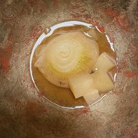 Onion daikon soup  at Shikisai gin no to in Beppu