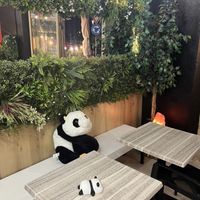 Restaurant   at Panda Burgers  in Olbia