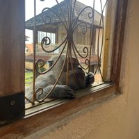  at Cafe Lilu   in Ubud