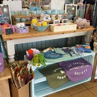 Selection in the shop  at Devonmade in Paignton