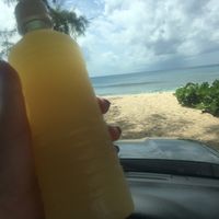 Fresh Lemon Juice  at Papa Earl - Mobile Food Vendor in Mount Standfast