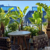  at Honest Greens in Cascais