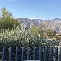   at Michael's In Borrego in Borrego Springs