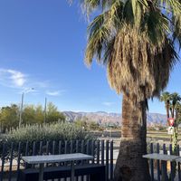   at Michael's In Borrego in Borrego Springs