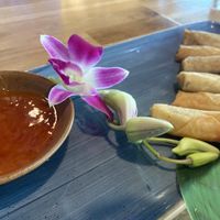 Vorspeise - Frühlingsrollen  at Ngocha1078 in Munich