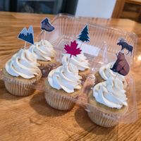 Maple birthday cupcakes at Rooted  in Canmore