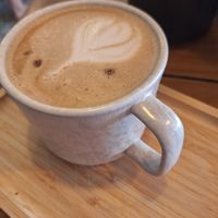  at PLANT SHACK    in Mallorca