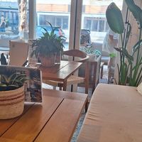  at PLANT SHACK    in Mallorca