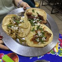   at Vegetal Vegancarniceria in Mexico City