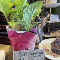   at Dig Inn  in Marple