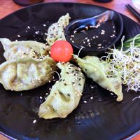 Vegan gyozas at Susanoo Ramen in Toulouse