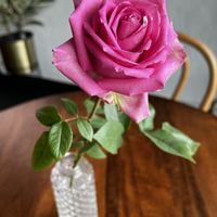 One of the beautiful real flowers on all the tables.  at Eats Bakery in Salt Lake City