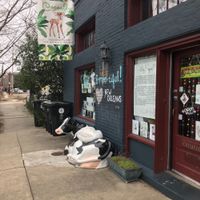 They have a little art shop on the side at Seed - Faubourg Lafayette in New Orleans
