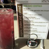 Virgin dooryard bloomer  at Seed - Faubourg Lafayette in New Orleans