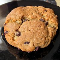 Brookie at Original Grinds in Fredericksburg