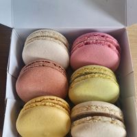  at Land & Monkeys - Père Lachaise   in Paris