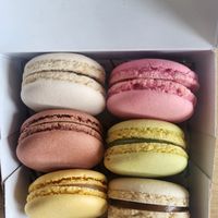  at Land & Monkeys - Père Lachaise   in Paris