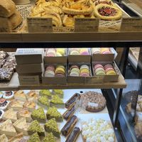 How do you choose?!?  at Land & Monkeys - Père Lachaise   in Paris