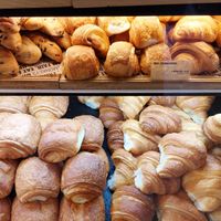  at Land & Monkeys - Père Lachaise   in Paris