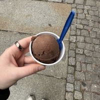   at Kleinschmidt in Dresden