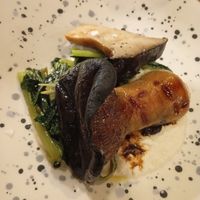  at Erbaluigia in Pisa