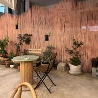   at Cafe Shëndet in Himare