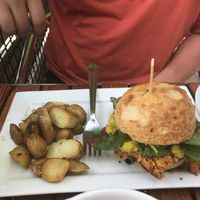 Falafel Burger w/ a non vegan bun! at Zeal in Boulder