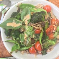 Miso Dish subbed with Coconut Curry at Zeal in Boulder